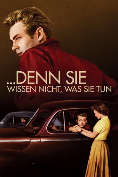 … denn sie wissen nicht, was sie tun poster